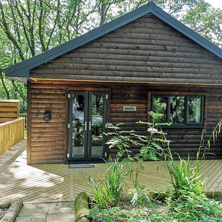 Bluestone-Hot Tub-Woodlandlodges-Pembrokeshire-Tenby Кармартен Екстер'єр фото